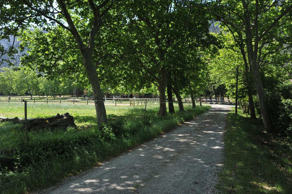 Domaine De Castel Fizel Hotell Caudies-de-Fenouilledes Eksteriør bilde